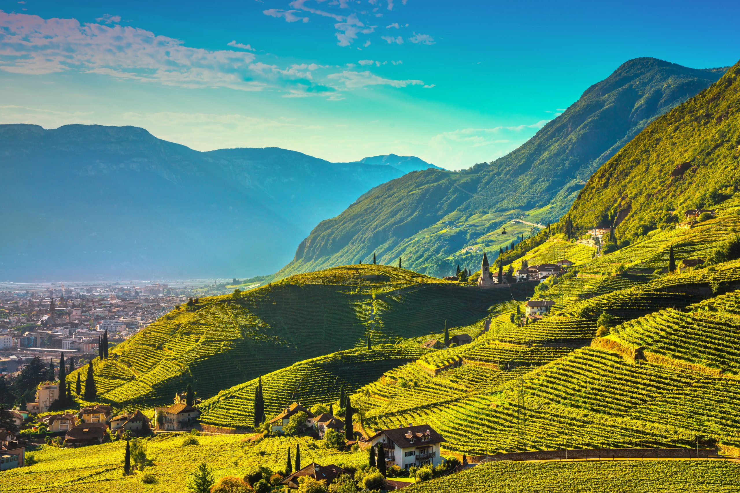 Italy launches new ‘crisis fund’ for winemakers in Trentino