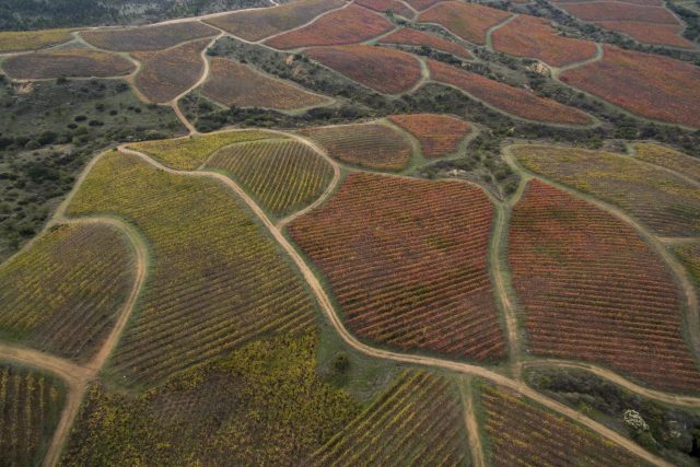 Viñedos Calcu: redefining the Colchagua Valley