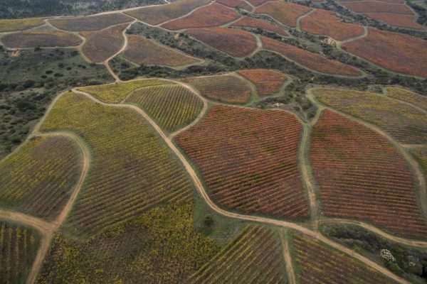 Viñedos Calcu: redefining the Colchagua Valley with its vineyard architecture