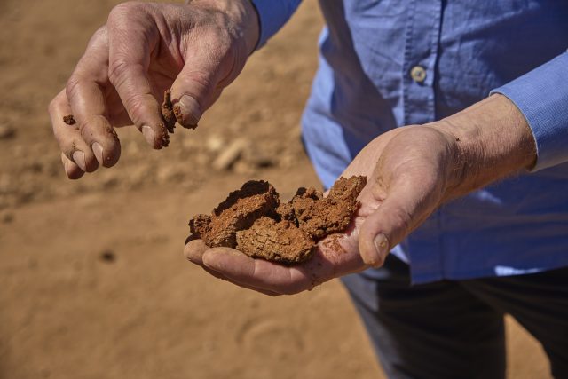 Viñedos Calcu: redefining the Colchagua Valley