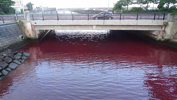 Leak at Orion Brewery turns the sea red