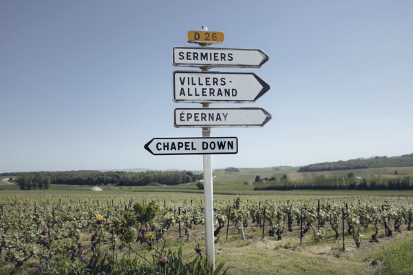 The Judgement of Reims? Chapel Down goes to Champagne and wins taste test
