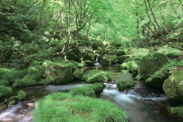 ASC Fine Wines celebrates World Environment Day with wine carnival