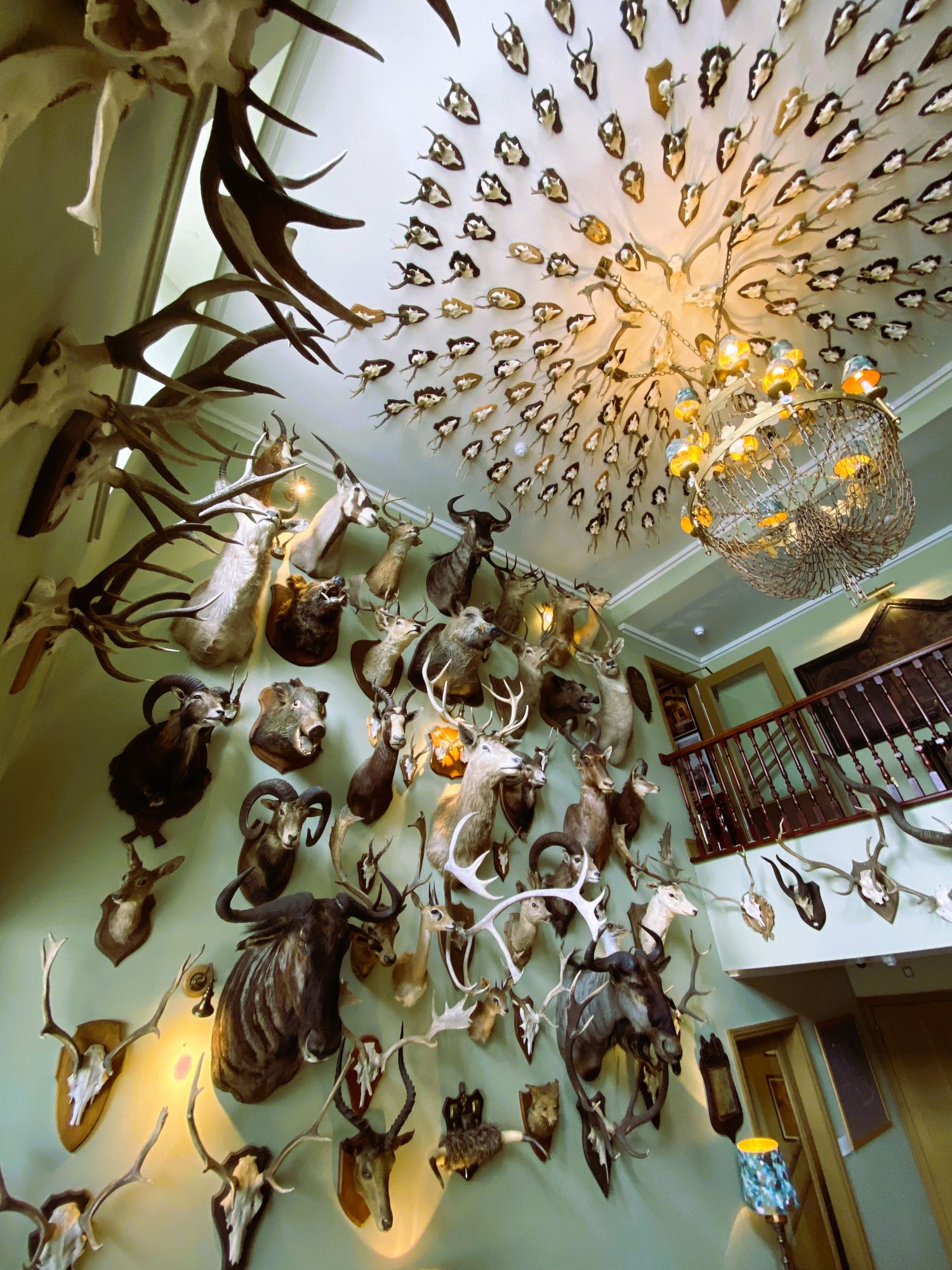 Wine List Confidential The Clunie Dining Room at The Fife Arms