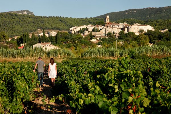 Côtes du Rhône vintners safeguard the region’s future