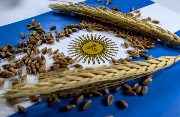 Wheat harvest to end Argentina’s financial crisis, says cabinet chief