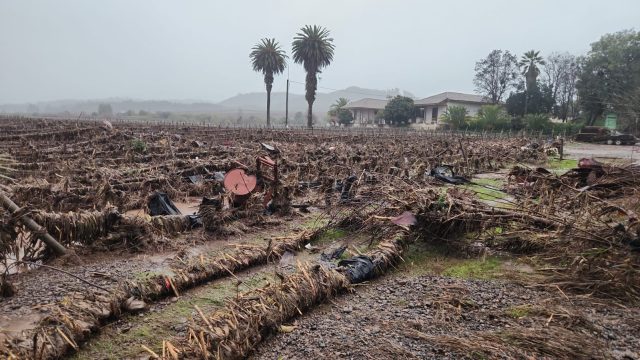 Inondations au Chili : "un pays habitué aux tragédies naturelles".