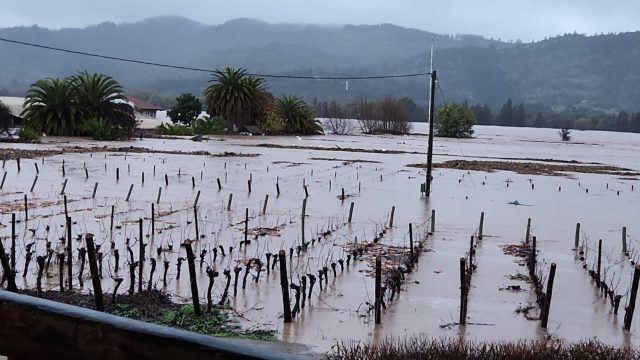 智利洪灾："一个习惯于自然悲剧的国家
