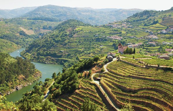 Why tawny Port is back in fashion