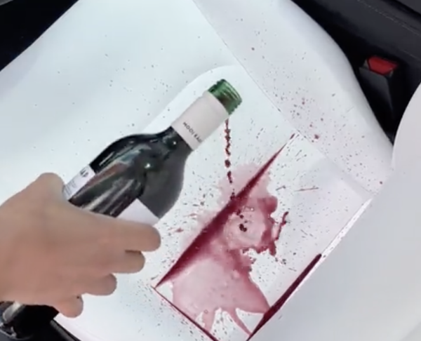 Elon Musk shows ‘red wine test’ on Tesla