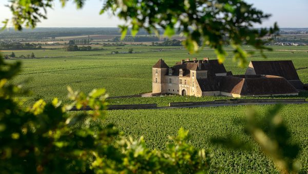 Charity sale of Burgundian wines raises €700,000 for young musicians