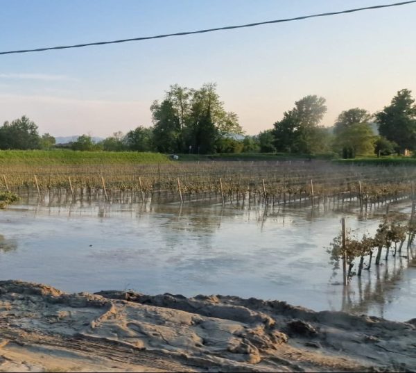 Romagna: after the flood