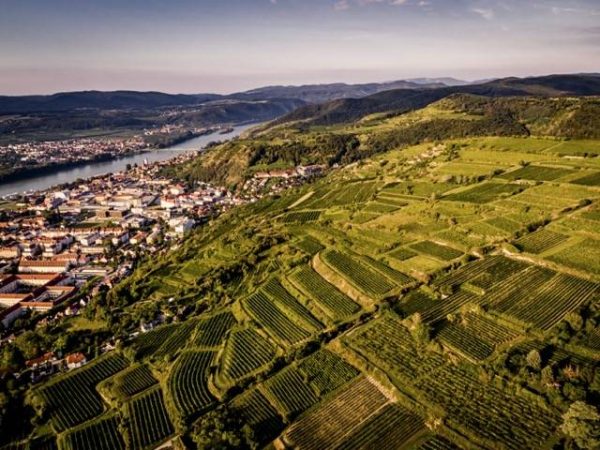 Milestone vineyard classification approved in Austria