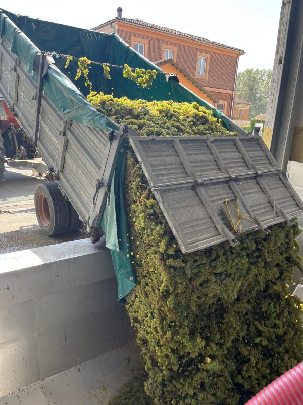 Week in pictures: 19 – 25 August