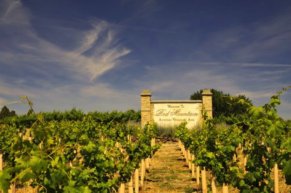 Red Mountain Cabernets can ‘match up to any from Napa’