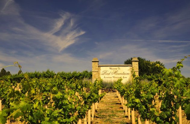 Red Mountain Cabernets can ‘match up to any from Napa’