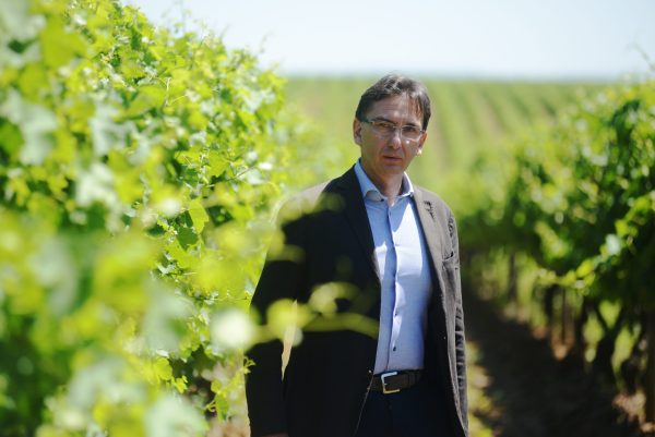 How GIV is preparing its Pinot Grigio for climate change