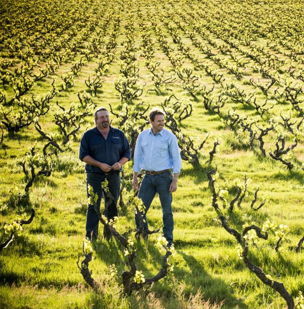 Yangarra Estate and Giant Steps take top prizes at Halliday Awards