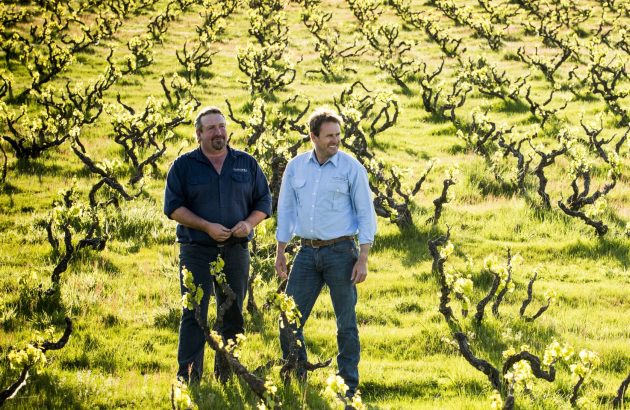 Yangarra Estate and Giant Steps take top prizes at Halliday Awards