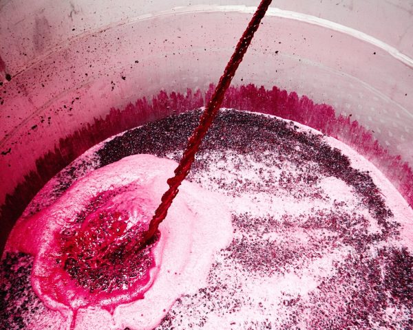 Intruder pours away 60,000 litres of wine in Spain