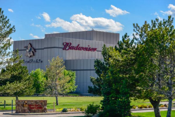 AB InBev faces workers strike action