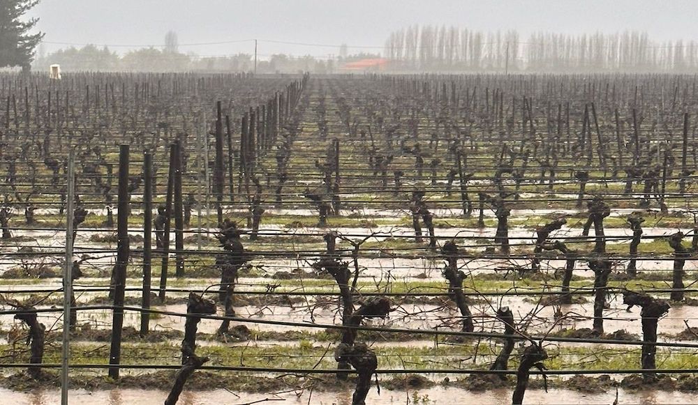 El Niño provoca graves inundaciones en viñedos en Chile