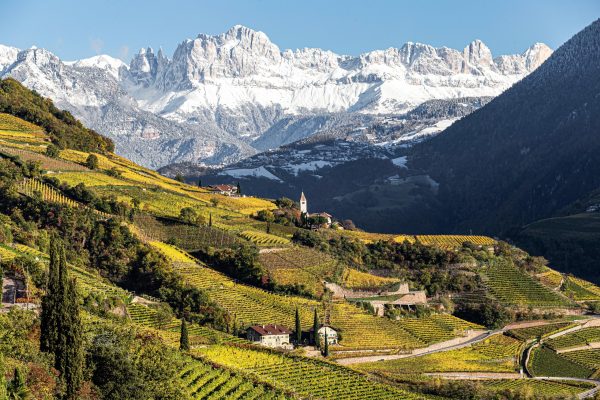 Alto Adige: six wine trends to watch out for