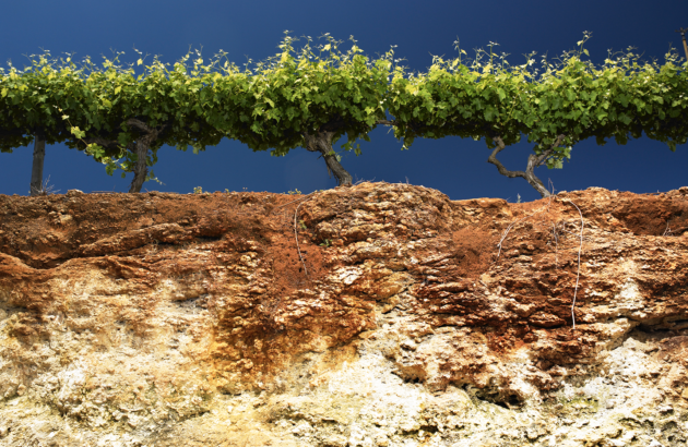 Could the claret style be returning to Coonawarra?