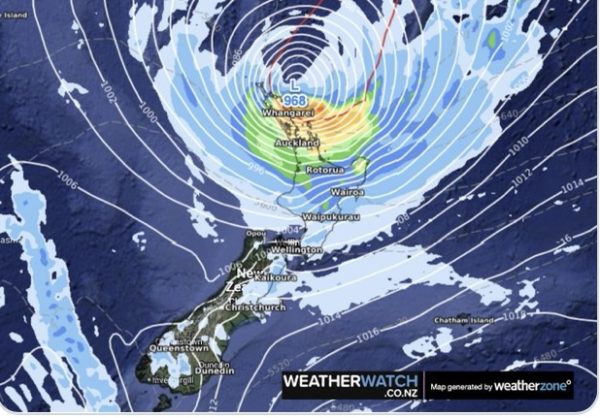 New Zealand wine production down 6% following Cyclone Gabrielle