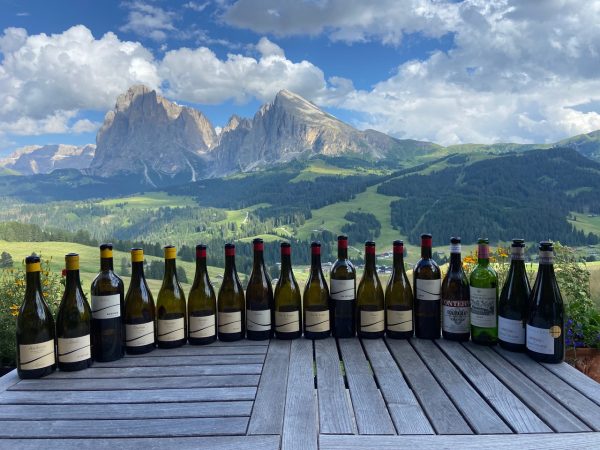 Andriano and Terlan: taking Alto Adige’s white wines to new heights