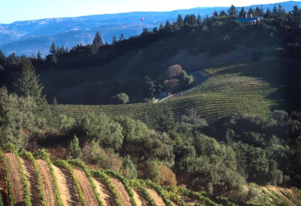Mount Veeder Winery appoints new winemaker in milestone year