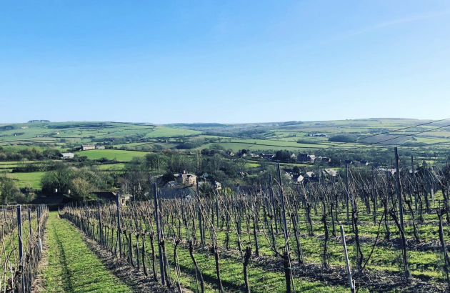 Steven Spurrier’s Dorset vineyard sold