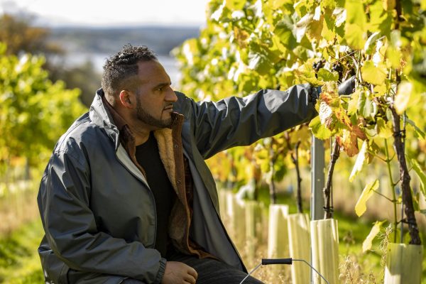 Lympstone Manor launches first sparkling wine