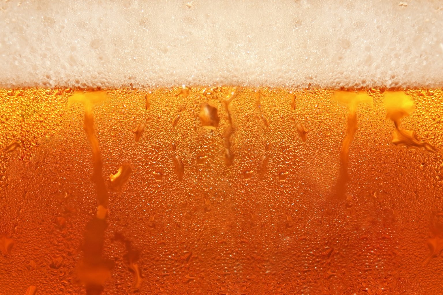 Nonalcoholic beer 'breeding ground for bacteria'