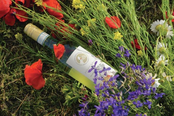 Pinot Grigio delle Venezie: a growing, global voice