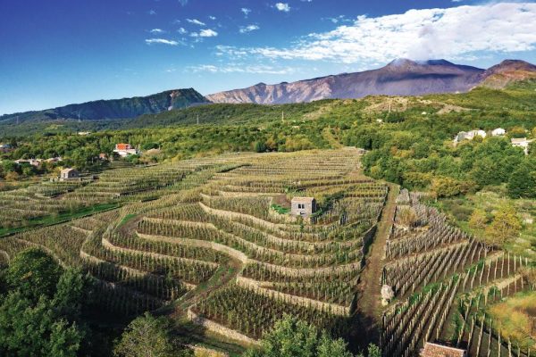 Alto Adige: promoting the sensual delights