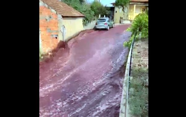 Watch two million litres of wine flood a Portuguese town