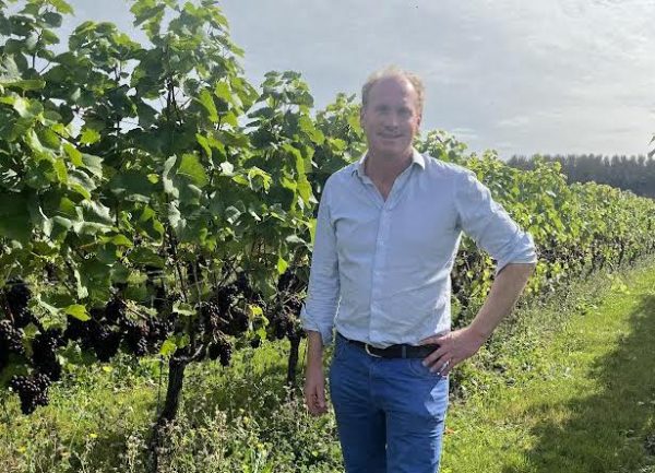 ‘Amazing’ harvest with ‘unbelievable’ yields starts in England