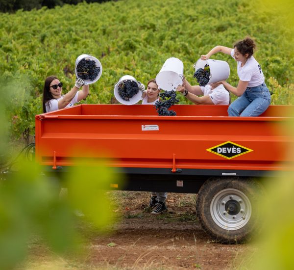 Week in pictures: 7 – 13 October