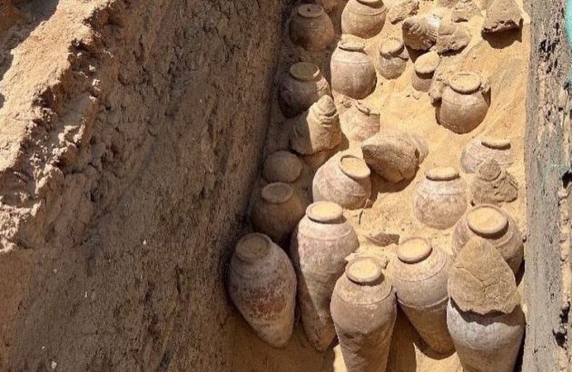 5,000-year-old intact wine jars discovered