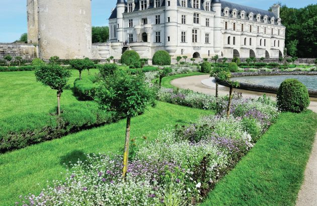 Driving force: Buckle up for our French harvest report 2023
