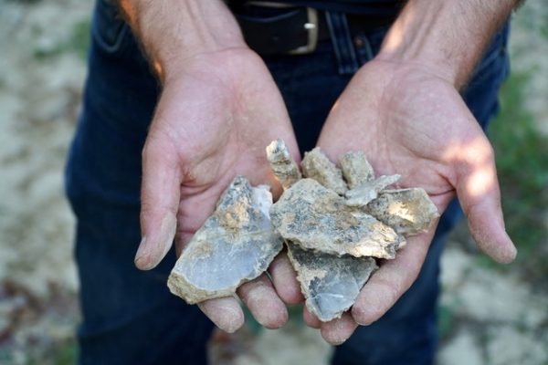 Pelaverga Piccolo: an outsider in the kingdom of Nebbiolo