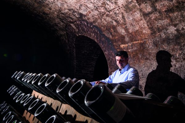 Why size matters for Champagne Palmer