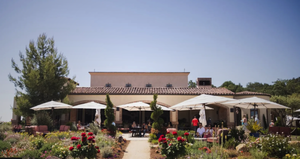 Treasury Wine Estates buys Daou Vineyards for US$900 million