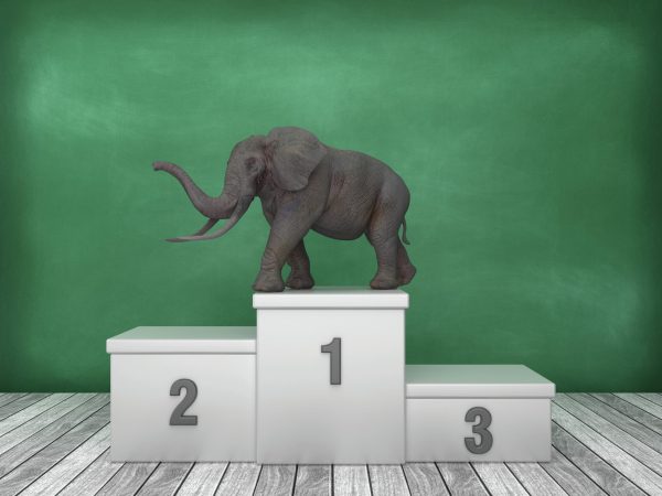 Heavyweight contender: How the 2023 Champagne harvest fared