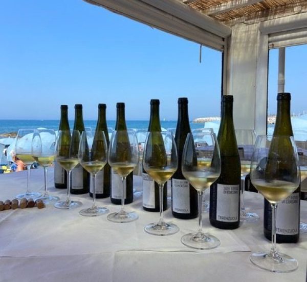 Terenzuola Fosso di Corsano: ‘a delicious outcast’