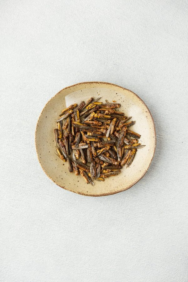 Food agency blocks bug-based cocktail menu in Singapore