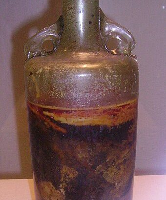 1,697 year-old bottle of wine ‘safe to drink’