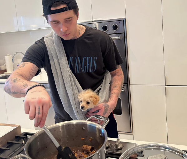 Is Brooklyn Beckham right about cooking with wine corks?