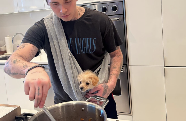 Is Brooklyn Beckham right about cooking with wine corks?